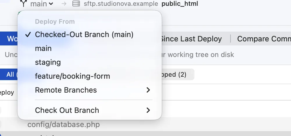 The branch menu: Deploy From Checked-Out Branch (main), main, staging, feature/booking-form, Remote Branches, and Check Out Branch